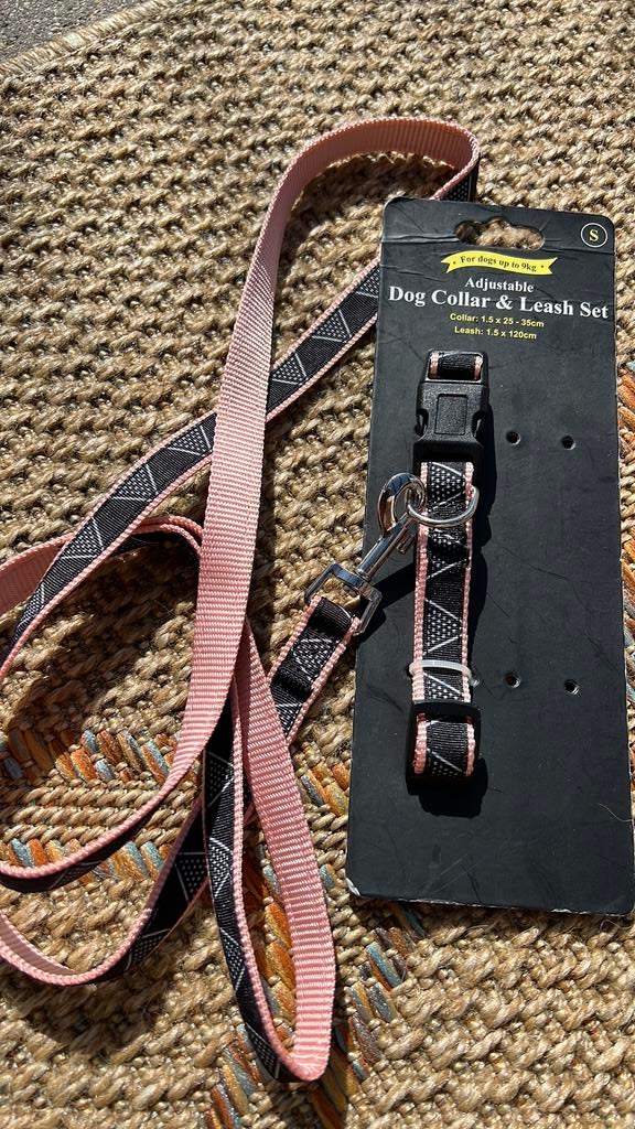 Honden riem, Ophalen of Verzenden, Nieuw