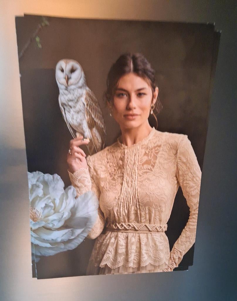 Magneet plaat, Ophalen of Verzenden, Reclamebord