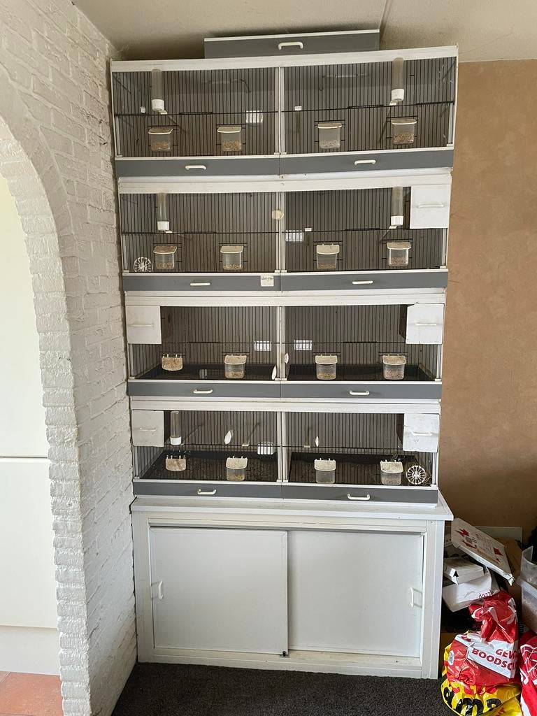 Te koop vier broedkooien met onderkast, Dieren en Toebehoren, Ophalen, Kunststof, Broedkooi of Kweekkooi