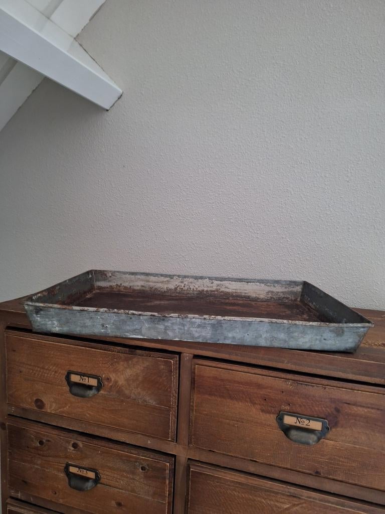 Groot zinken dienblad met handvaten en roestige tinten, Ophalen