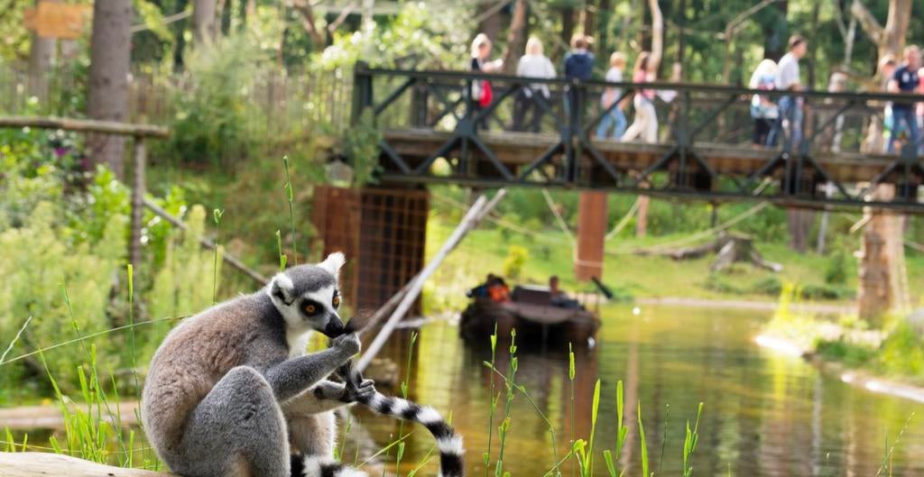 2 kaarten Dierenpark Amersfoort, Tickets en Kaartjes, Drie personen of meer, Ticket of Toegangskaart