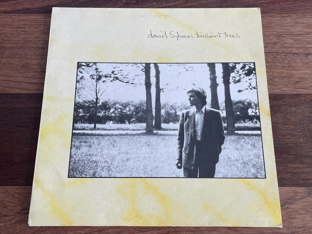 Vinyl LP David Sylvian Brilliant Trees ( Japan ) UK, Ophalen of Verzenden, 1980 tot 2000, Gebruikt, 12 inch