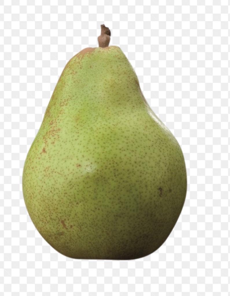 Fruit leibomen voor fruit uit eigen tuin, Tuin en Terras, Planten | Bomen, Ophalen of Verzenden, Lente, Volle zon, Overige soorten