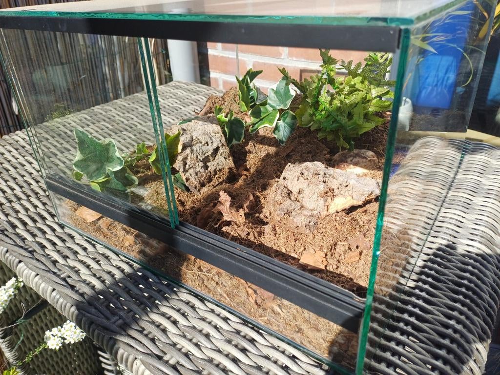 Terrarium 40x40x25 cm, Ophalen