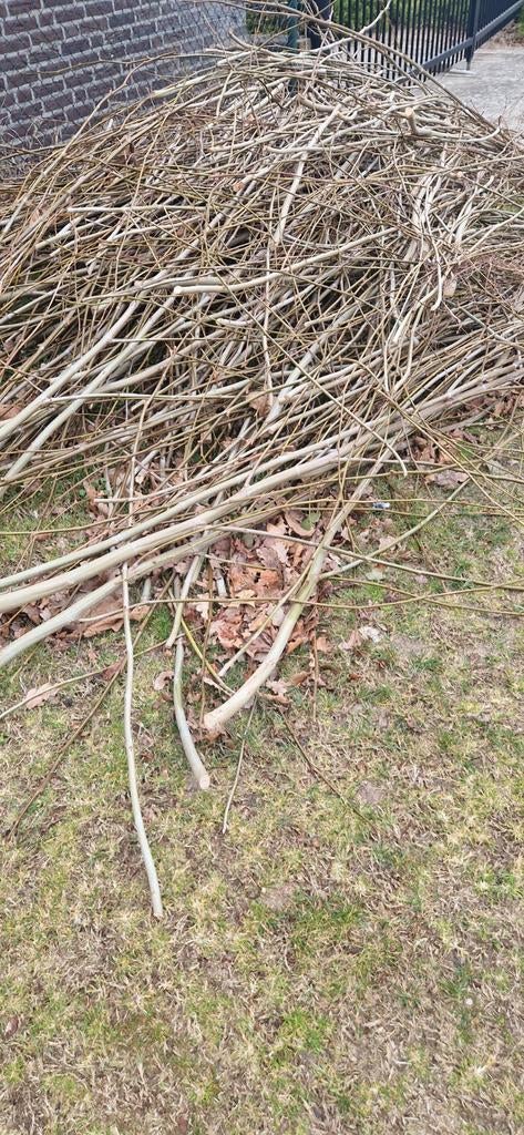 Gratis wilgentakken, Ophalen