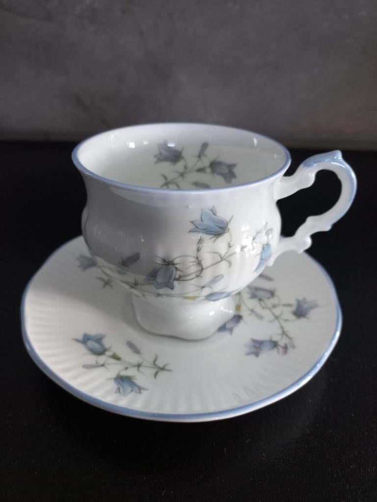 Elisabethan Staffordshire Kop en Schotel met Bloemen, Antiek en Kunst, Antiek | Servies compleet, Ophalen of Verzenden