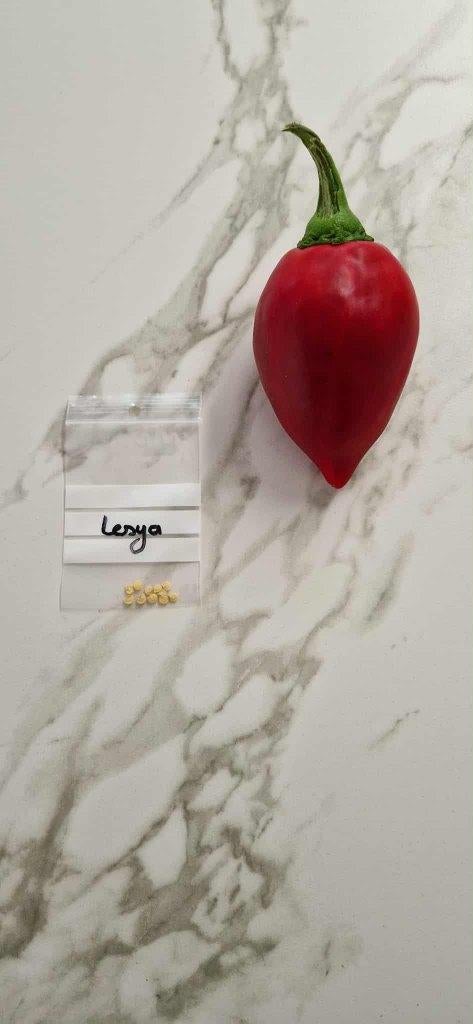 Paprika "Lesya", Ophalen of Verzenden, Voorjaar, Volle zon, Zaad