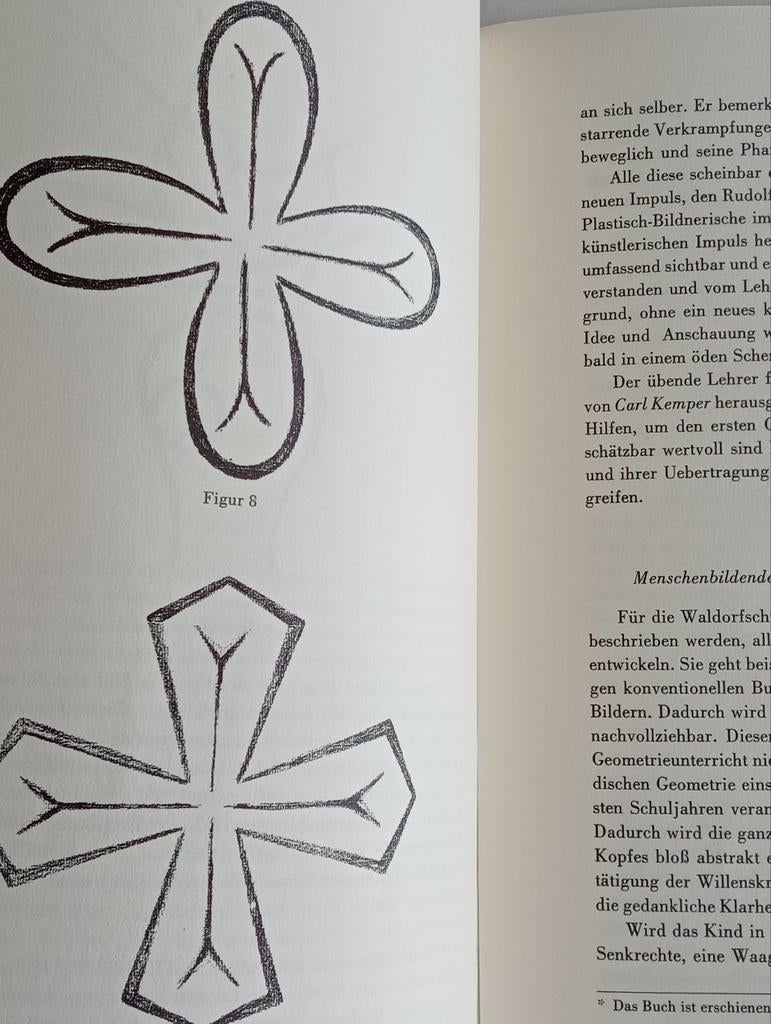 Hans Rudolf Niederhauser Formenzeichnungen Steiner Pedagogie, Boeken, Filosofie, Ophalen of Verzenden, Gelezen