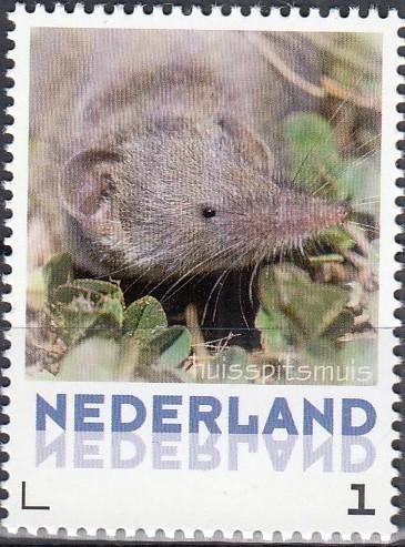 Nederland- 2013-Persoonlijke-Natuur-Zoogdieren- Spitsmuis- P, Verzenden, Na 1940, Postfris