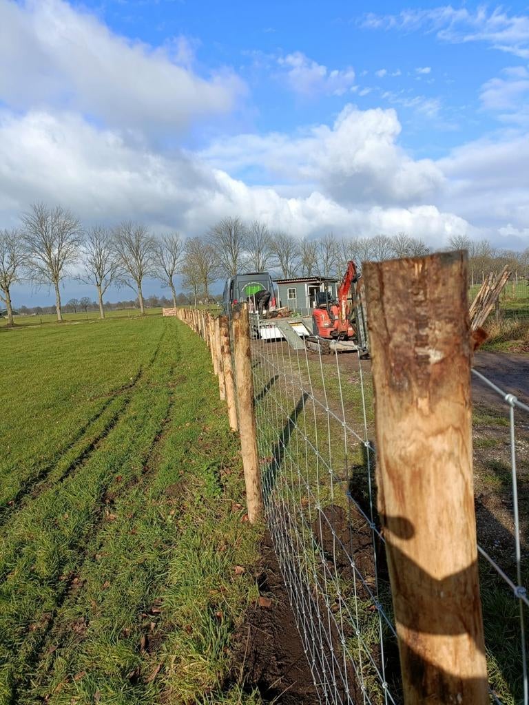 Schapengaas,Gaas,Geplaatst vanaf €10 m1 incl Materialen, Ophalen, Nieuw, Minder dan 10 meter, Gaas