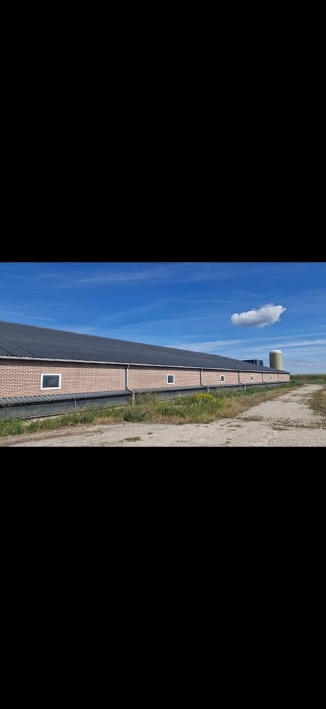 Prefab stal vleesvarkens stal schuur, Dieren en Toebehoren