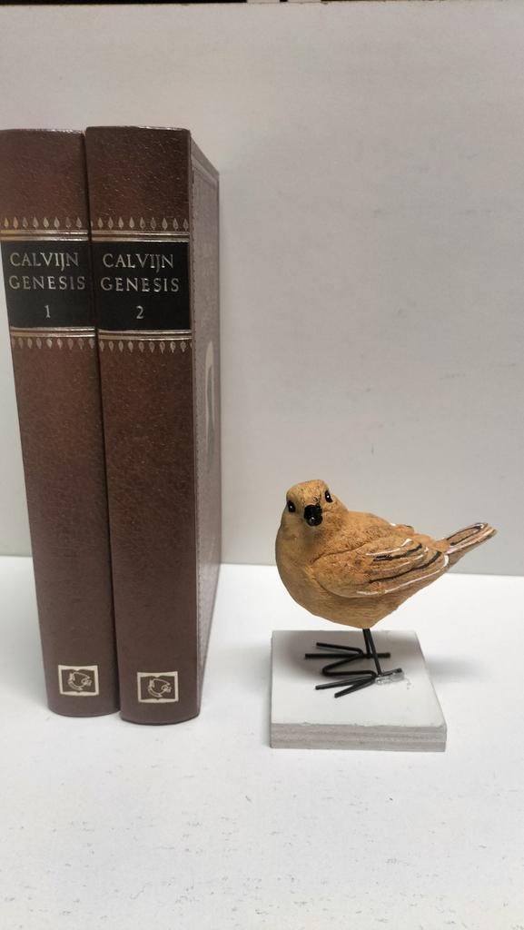 Calvijn, Joh.; Verklaring van de Bijbel:Genesis deel 1 en 2, Boeken, Ophalen of Verzenden, Gelezen, Christendom | Protestants