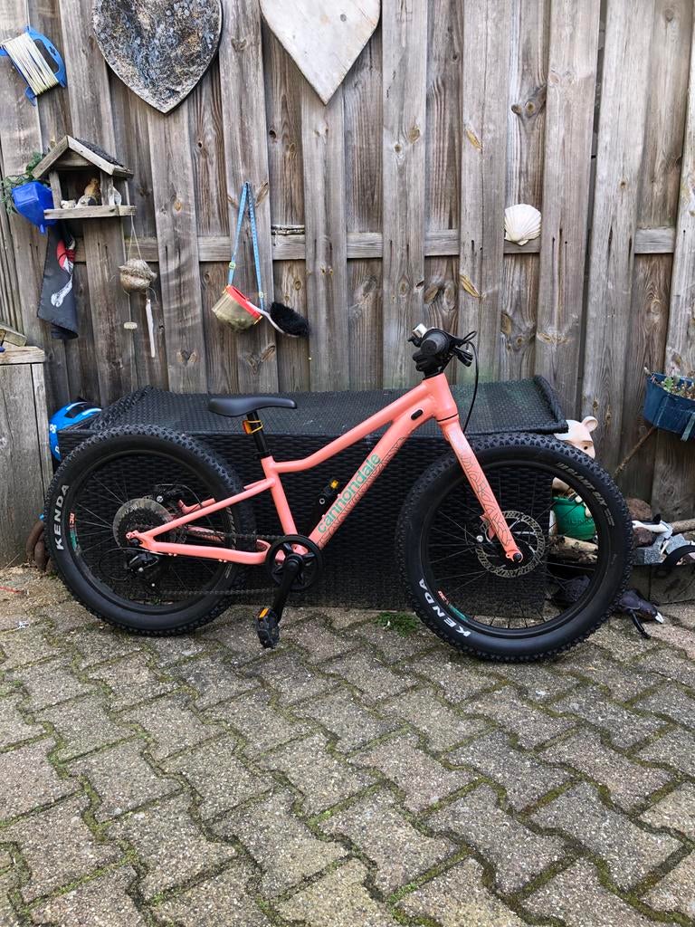 Cannondale Kids Trail 20 inch salmo, Ophalen, Gebruikt, 20 inch of meer