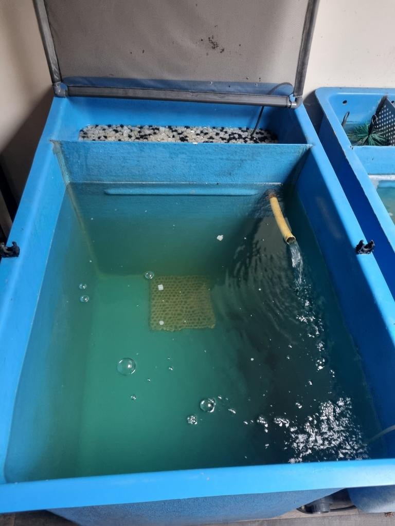 Polyester waterbak qurantenebak !, Tuin en Terras, Vijvers, Ophalen of Verzenden