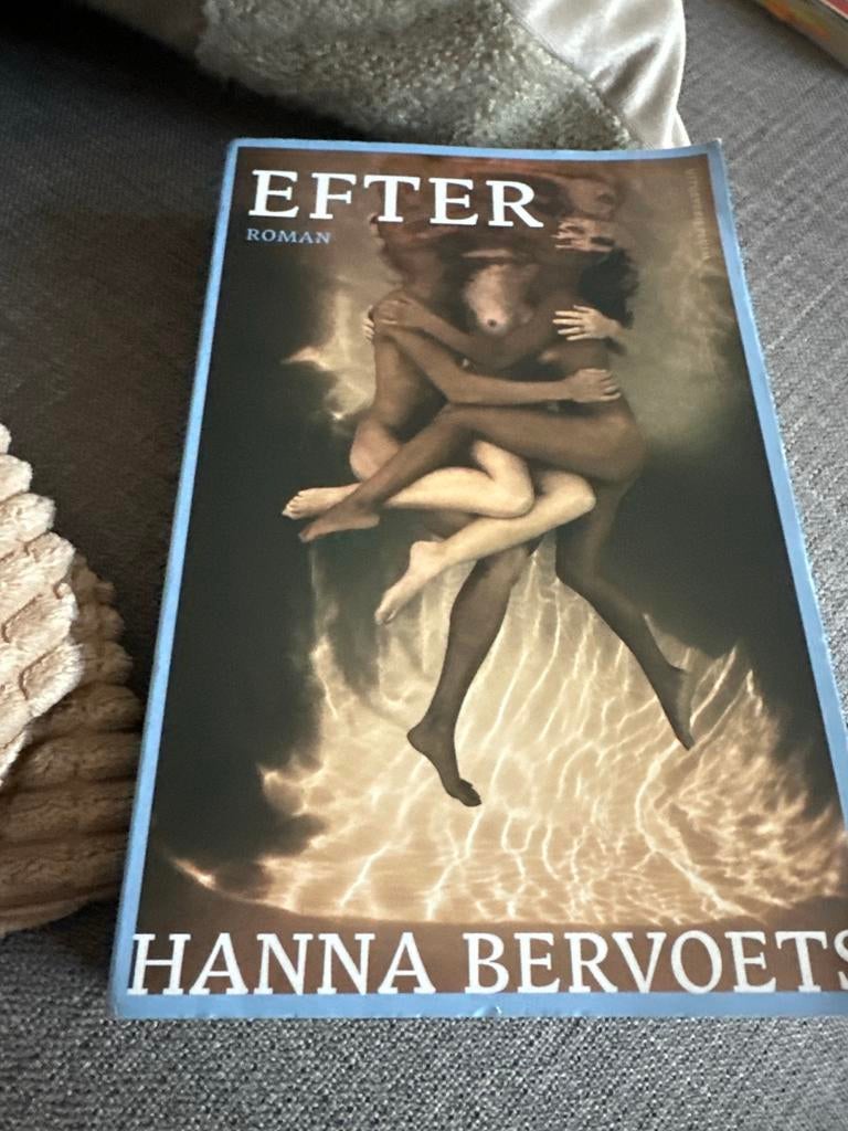 Boek: Efter - Hanna Bervoets, Boeken, Ophalen of Verzenden, Gelezen, Nederland