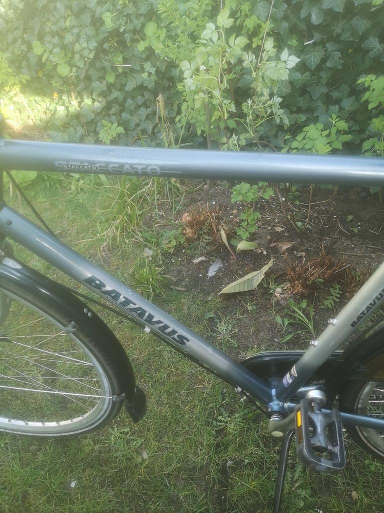 Batavus Herenfiets, Fietsen en Brommers, Ophalen, Gebruikt, Minder dan 10 versnellingen, Batavus