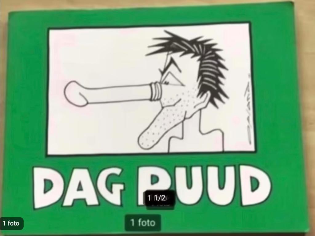 Dag Ruud door Opland, Ophalen of Verzenden, Gelezen, Cartoons