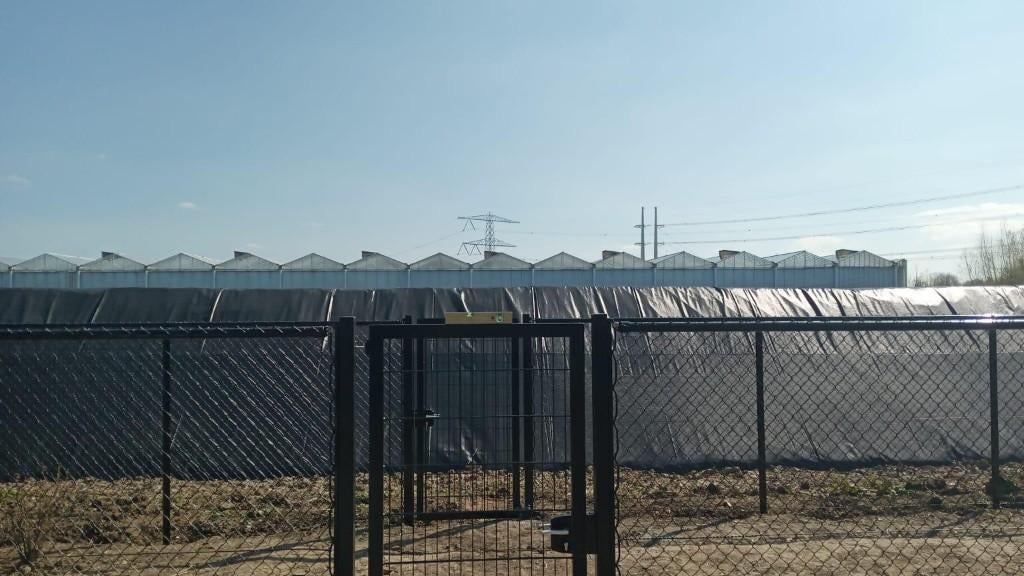 Gaashekwerk NIEUW 180 cm Hoog COMPLEET, Ophalen, Nieuw, IJzer, Gaashekwerk