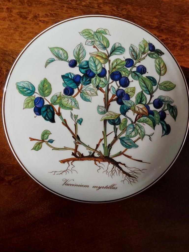 Villeroy & Boch Botanica Bosbes porseleinen doosje., Ophalen of Verzenden
