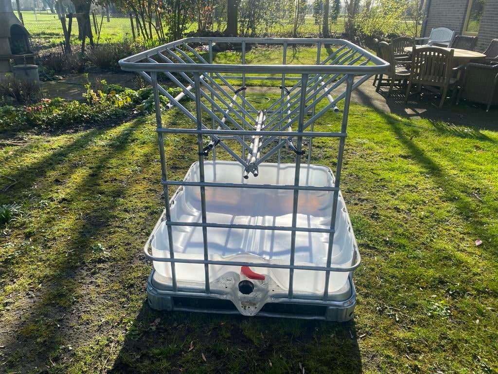 Mooie hooiruif, Meerdere dieren, Schaap