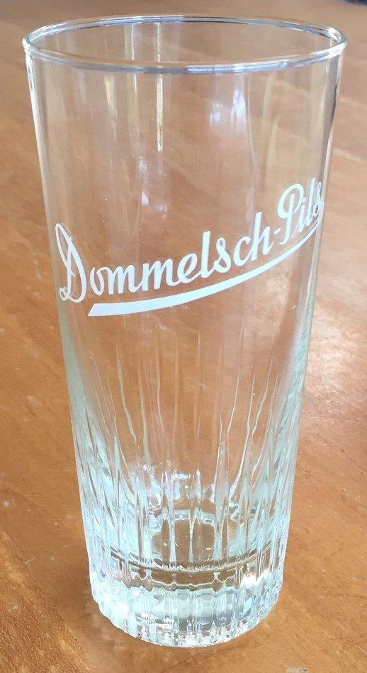 Dommelsch Pils zeldzaam glas, Verzamelen, Ophalen of Verzenden, Zo goed als nieuw, Glas of Glazen, Dommelsch