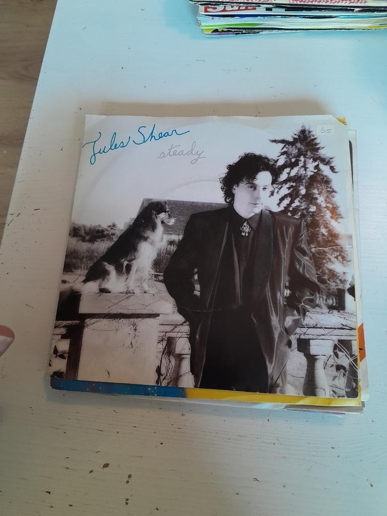 Jules shear 7 inch steady, Ophalen of Verzenden, Zo goed als nieuw, Pop