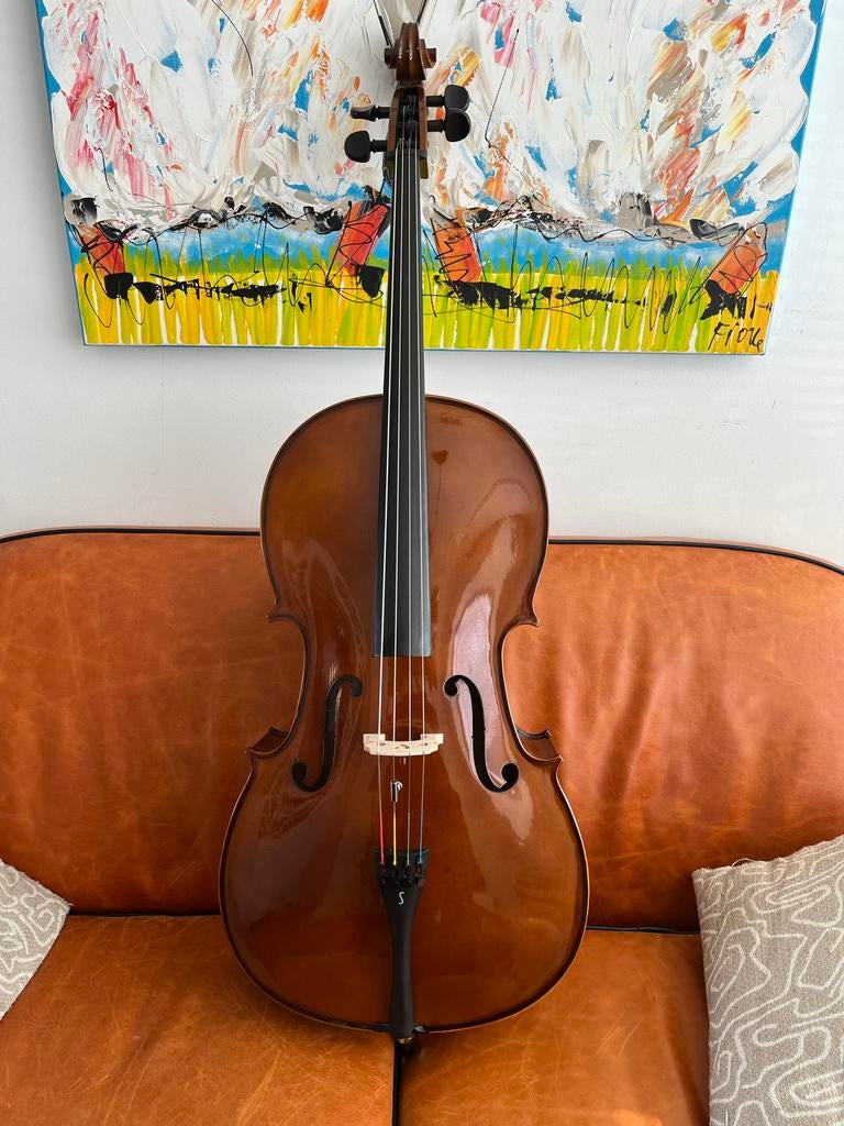 Cello Stentor Student II, Ophalen, Zo goed als nieuw, 4/4-cello