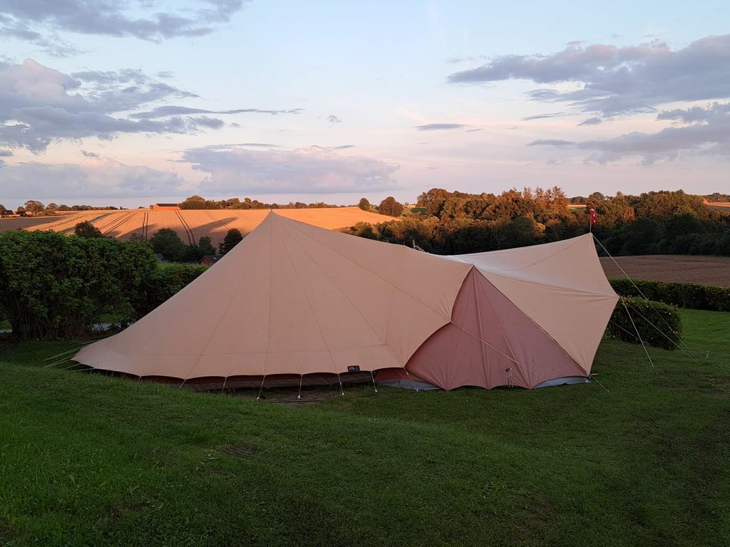 de Waard Lepelaar, Ophalen, Zo goed als nieuw