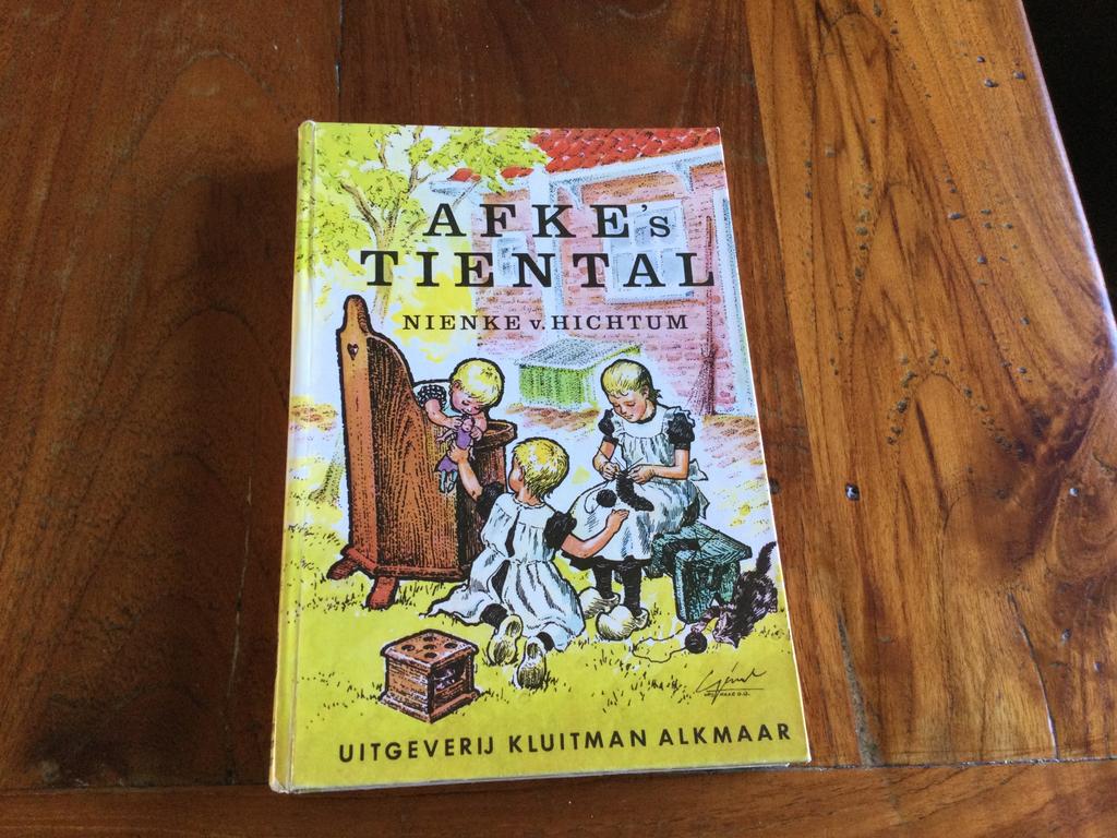 “ AFKE’S TIENTAL “ VAN NIENKE VN HICHTUM, FRIESLAND, Ophalen of Verzenden, 20e eeuw of later, Gelezen