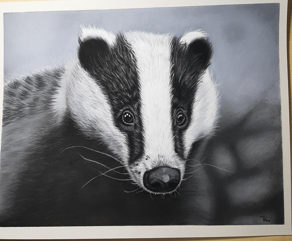 Pasteltekening van een das. Schilderij, Ophalen of Verzenden, Minder dan 50 cm, Tekening, Minder dan 50 cm