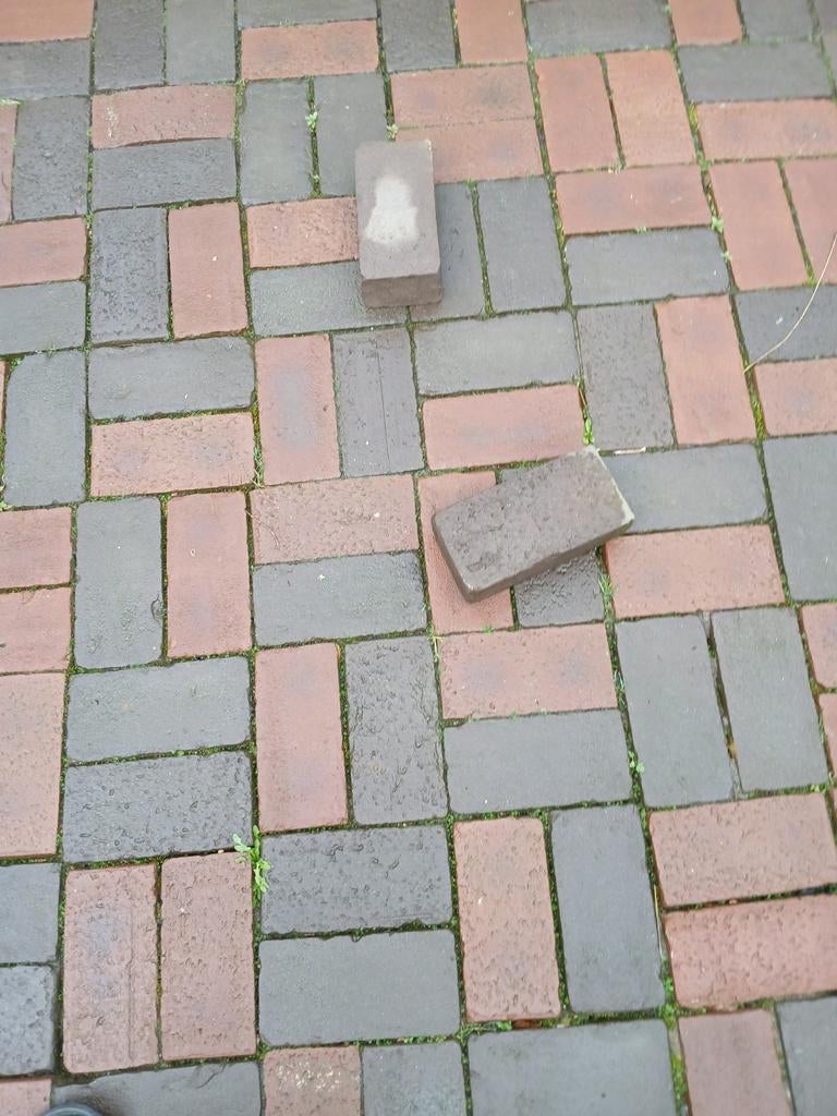 Gebakken klinkers GRATIS, Ophalen, Klinkers