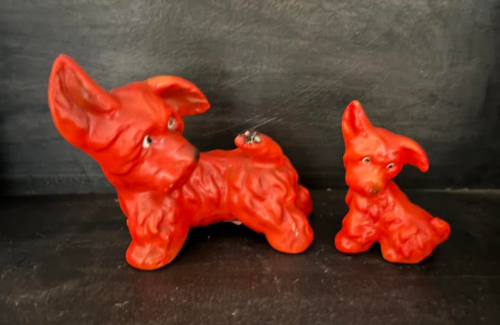 Oude Goebel terriers, Ophalen of Verzenden