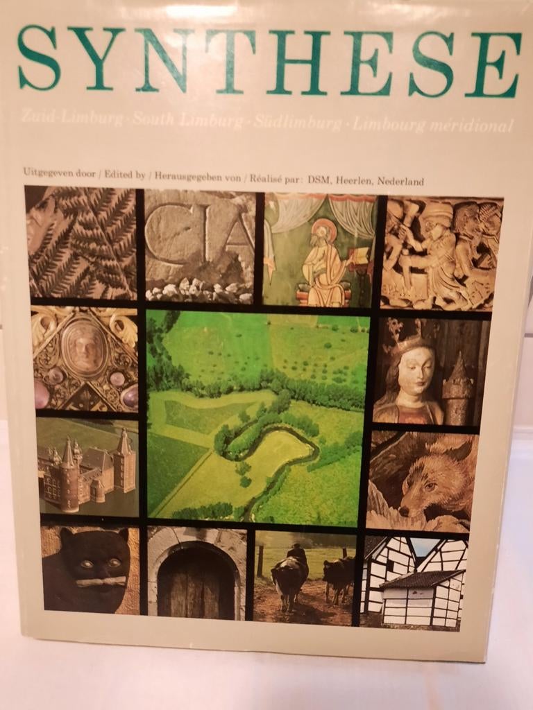 Synthese Zuid-Limburg Boek, Ophalen of Verzenden