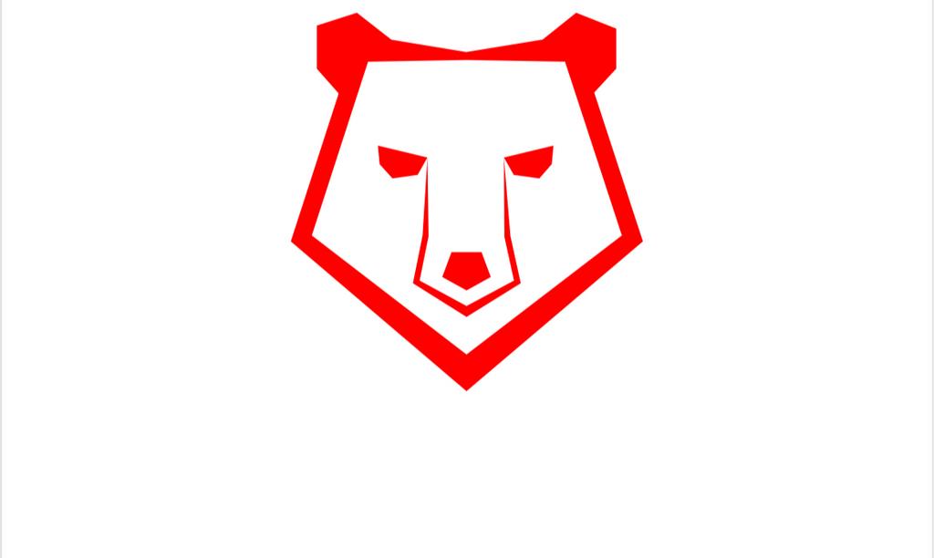 De Dak Beren Plat Dak Dakdekkers ZZP, Diensten en Vakmensen, Dakdekkers en Rietdekkers, Bitumineus