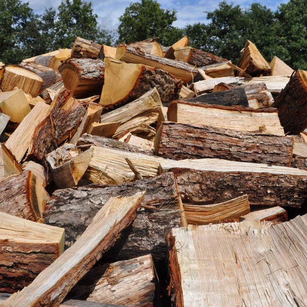 Grstid Brandhout gezocht, Tuin en Terras, Haardhout, Minder dan 3 m³, Ophalen, Takken