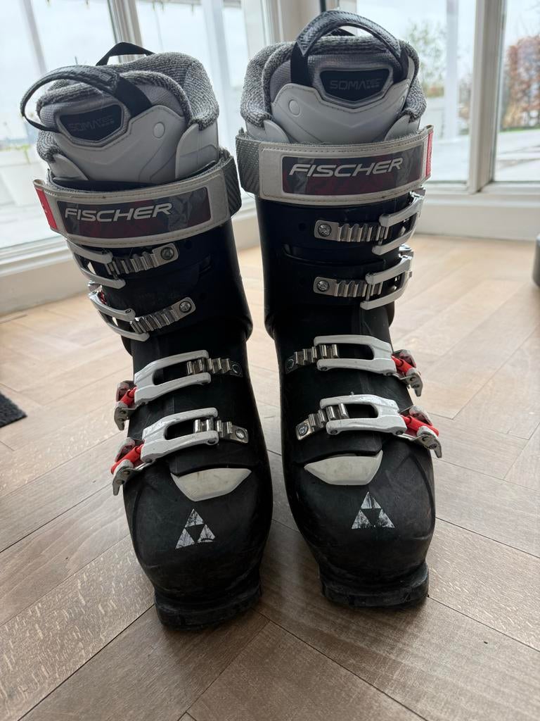 Fischer Dames Skischoenen Maat 41,5/42,5, Ophalen, 160 tot 180 cm, Schoenen, Skiën