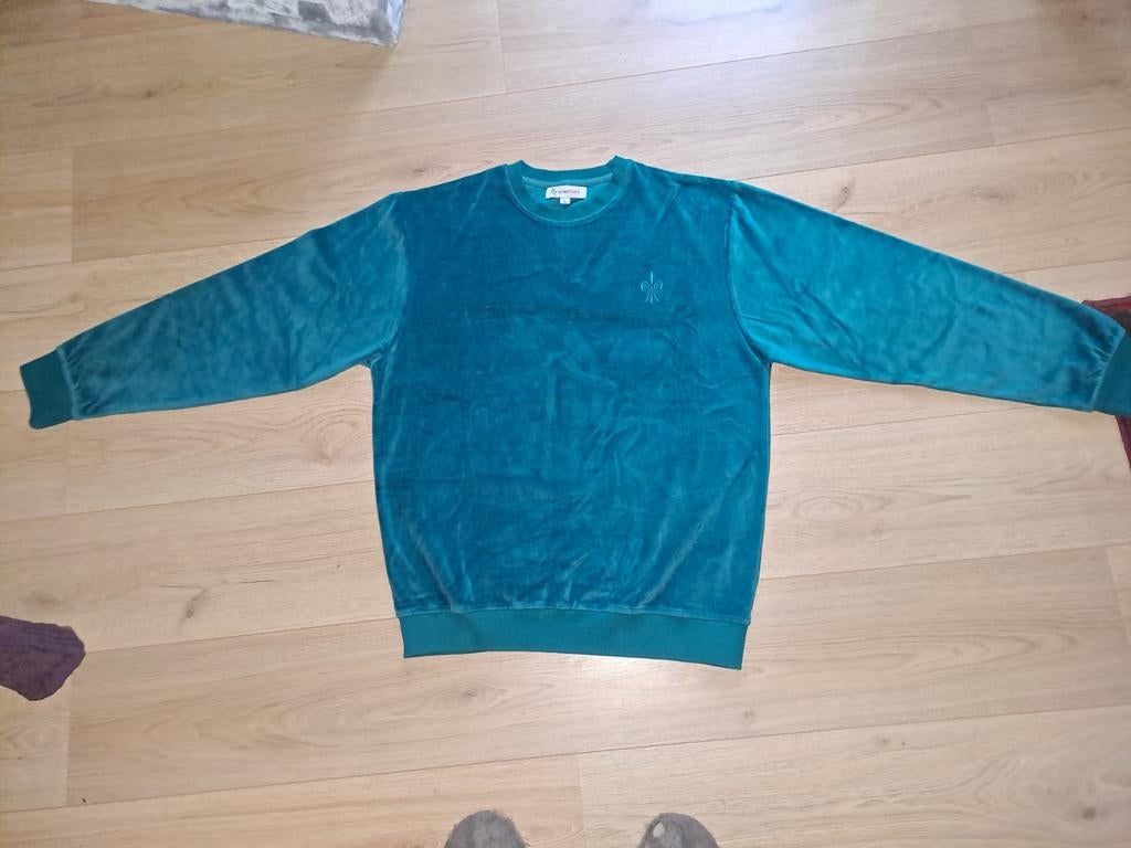 Velours trui - Dennengroen, Maat 42/44 (L), Ophalen of Verzenden, Zo goed als nieuw, Eurotops