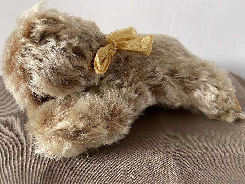 Steiff Floppy Zotty, slapende teddybeer, Ophalen of Verzenden, Zo goed als nieuw, Stoffen beer, Steiff