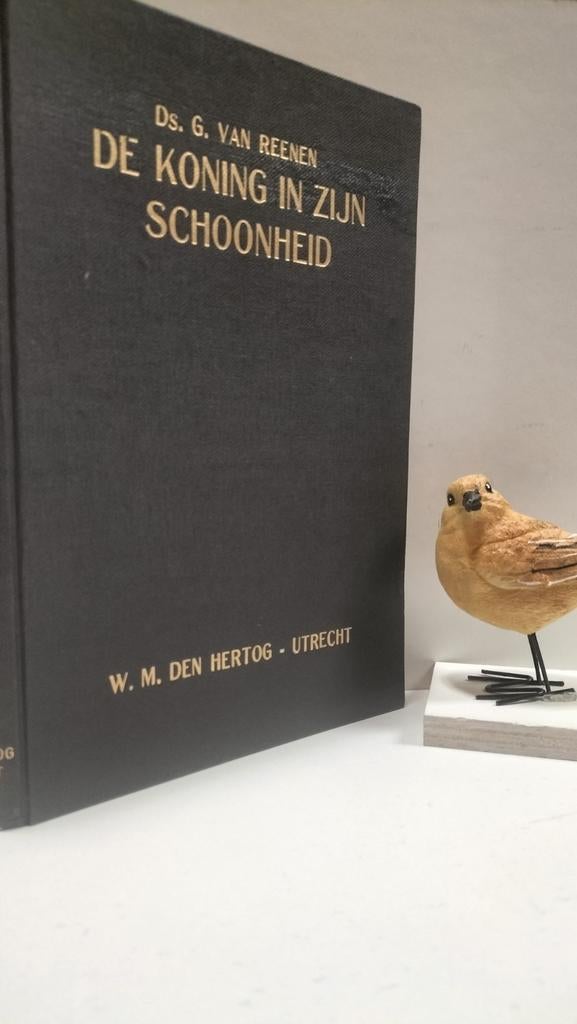 Reenen, Ds. G. van ; De Koning in Zijn schoonheid, Ophalen of Verzenden, Gelezen, Christendom | Protestants