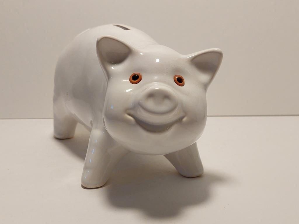 Groot spaarvarken, Verzamelen, Spaarpotten, Ophalen of Verzenden, Gebruikt, Steen, Aardewerk of Keramiek, Dier