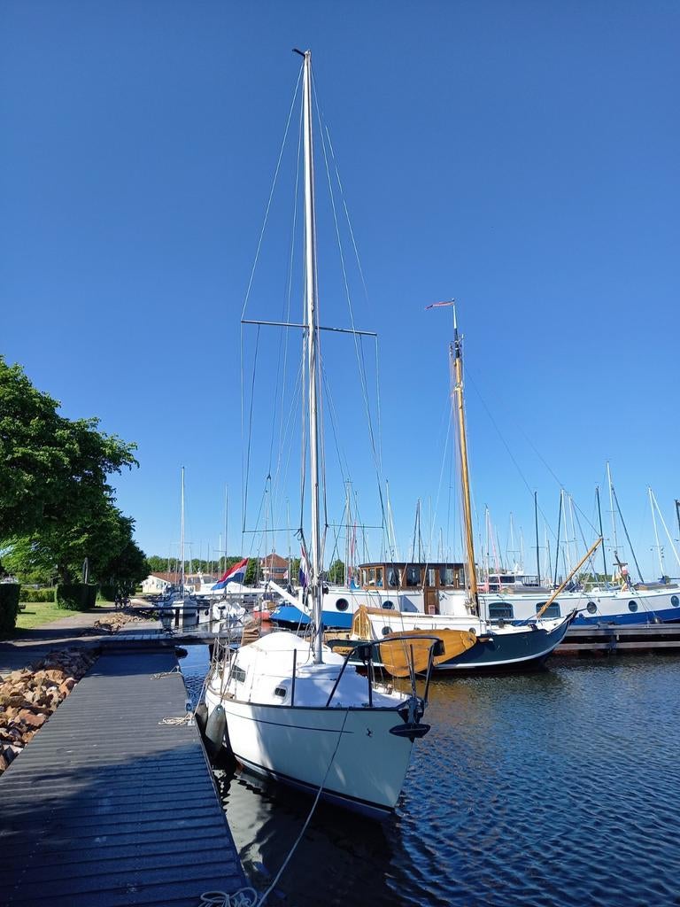 Zeiljacht - Ideaal voor weekendjes weg!, Gebruikt, Ophalen of Verzenden, Tourjacht of Cruiser, 6 tot 9 meter