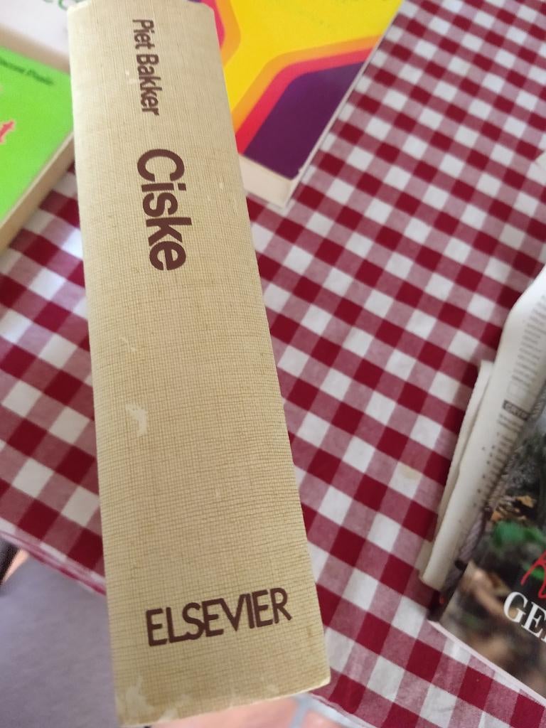 Ciske de rat trilogie ciske de rat ciske groeit op cis, Ophalen of Verzenden, Gelezen