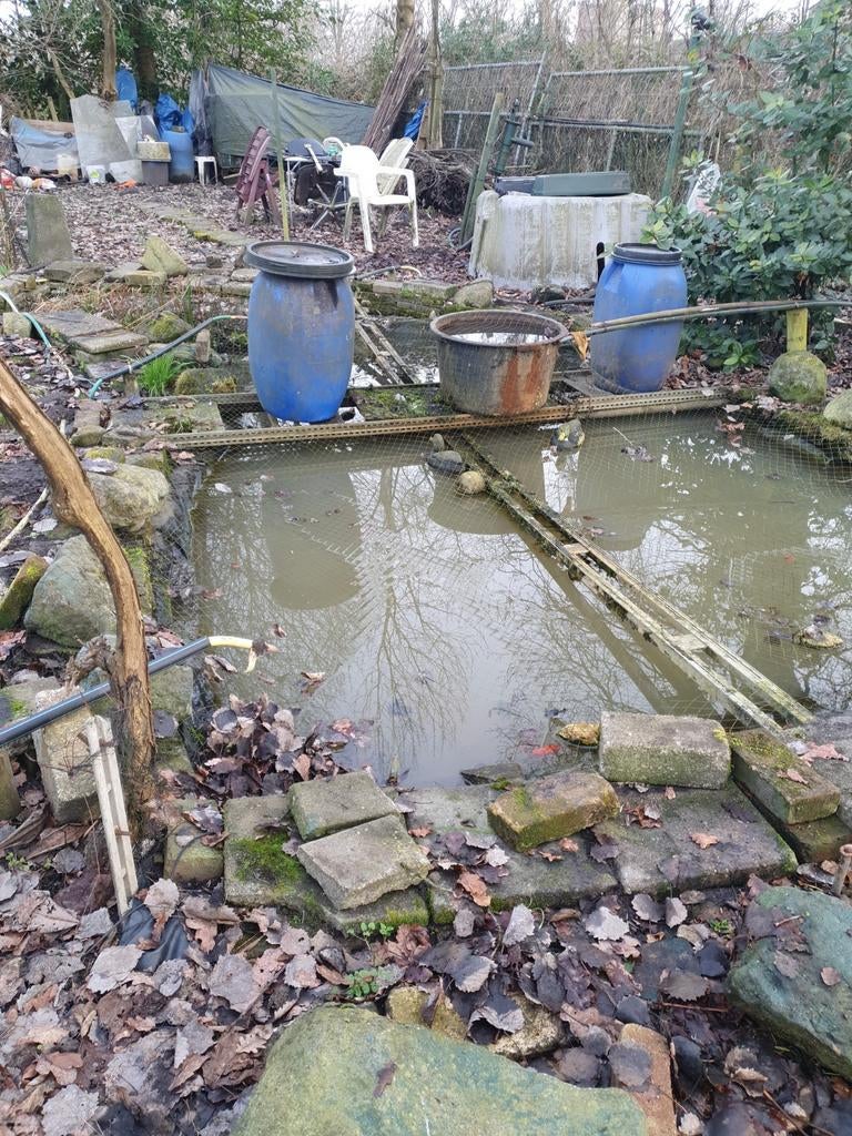 Volkstuin perceel met vis vijver, Tuin en Terras, Waterpartijen en Fonteinen, Overige typen, Ophalen of Verzenden