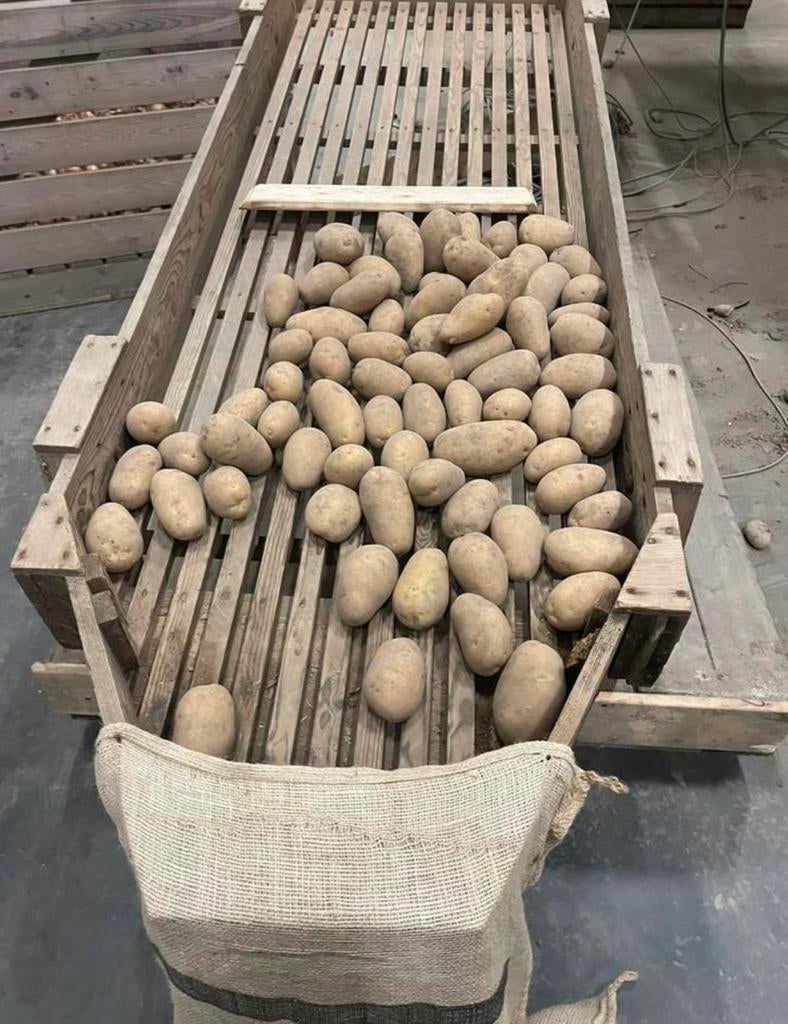 Frieslander aardappelen, Diversen, Levensmiddelen, Ophalen