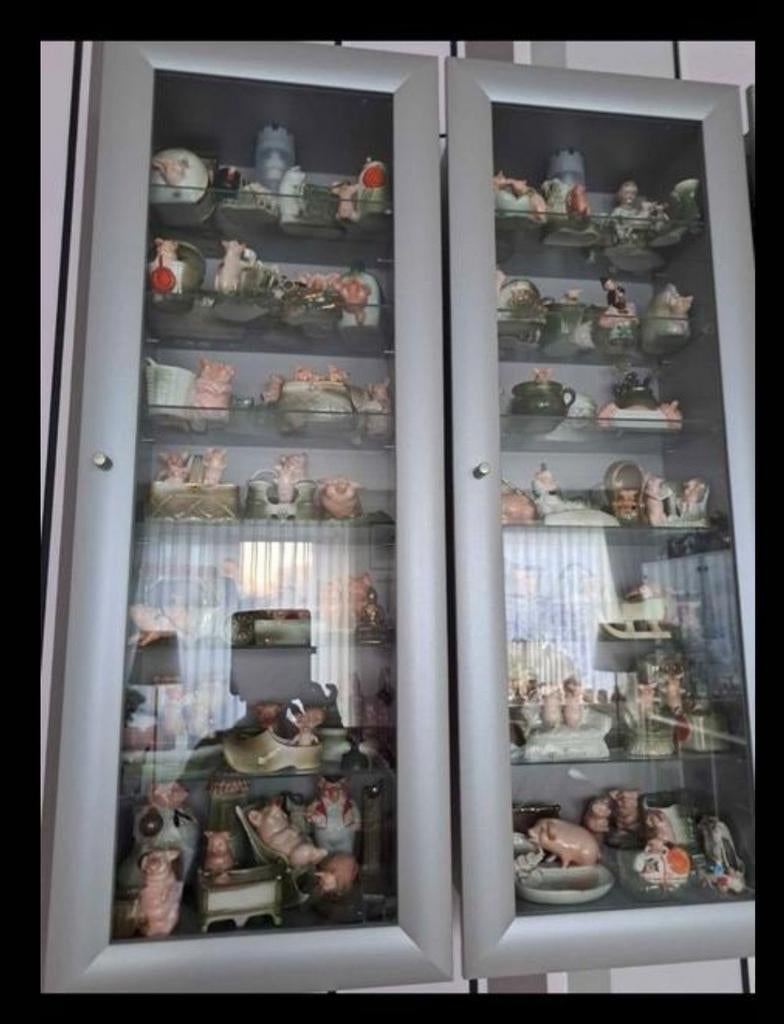 GEVRAAGD vitrine kastje zilvergrijs, Ophalen of Verzenden, 25 tot 50 cm, 50 tot 100 cm, Minder dan 100 cm