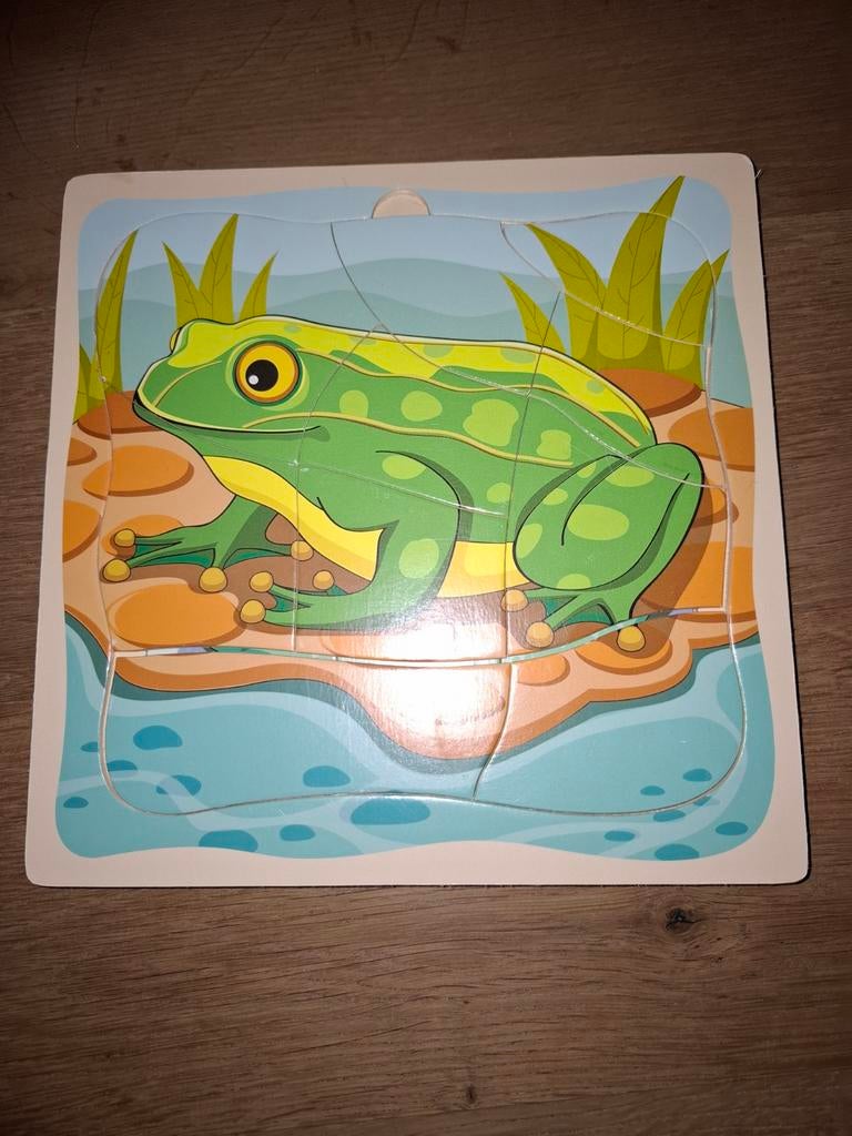 Kikker puzzel 3 delig, Ophalen of Verzenden