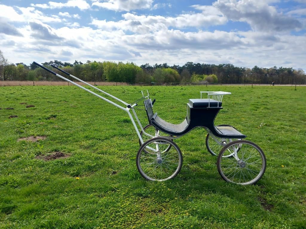 Menwagen ( enkel en dubbelspan), Zo goed als nieuw, Marathonwagen, Pony
