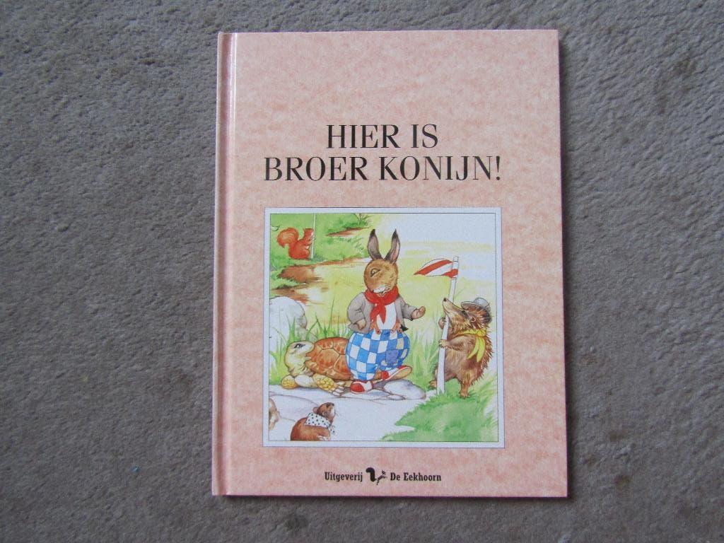 Boek: Hier is broer konijn, Ophalen of Verzenden, Gelezen, Fictie algemeen
