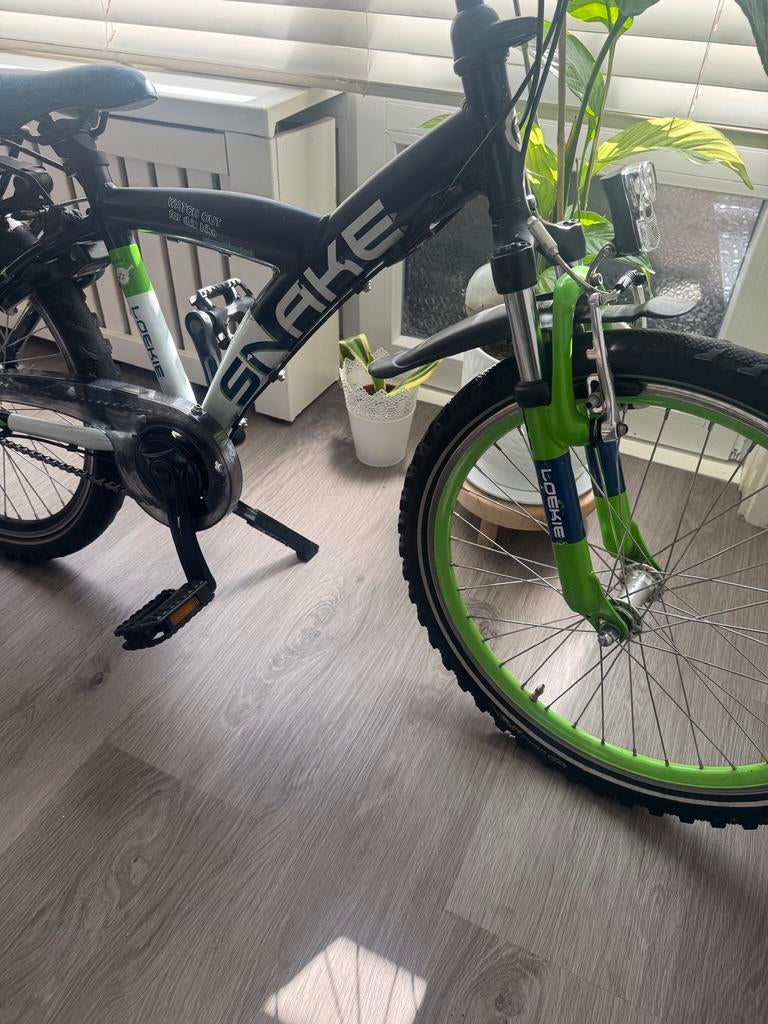 Loekie Batavus snake 22 Inch Jongensfiets, Ophalen, 22 inch, Gebruikt, Versnellingen