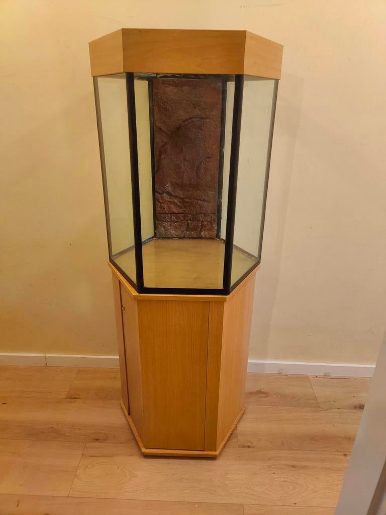 Mooi Aqarium/ terrarium moet weg!, Ophalen